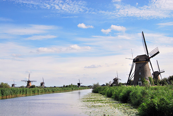 Talengroep Flevoland geeft de taal Spaans, Engels en Nederlands aan beginners en gevorderden. De cursussen kunnen 's middags of 's avonds gevolgd worden.